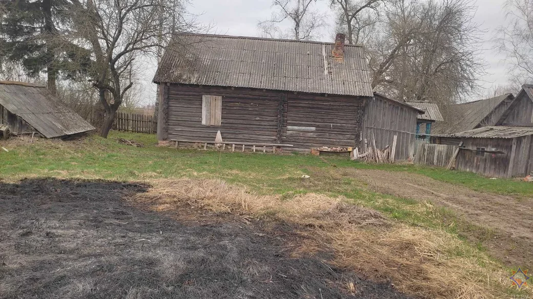 В деревне Красное Мстиславского района горел сухостой. 15.04.2023 г. Фото: mogilev.mchs.gov.by.