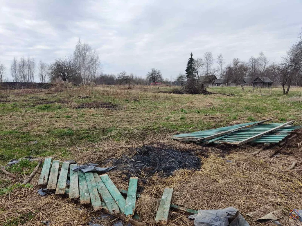 В деревне Красное Мстиславского района горел сухостой. 15.04.2023 г. Фото: mogilev.mchs.gov.by.