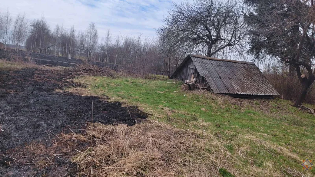 В деревне Красное Мстиславского района горел сухостой. 15.04.2023 г. Фото: mogilev.mchs.gov.by.