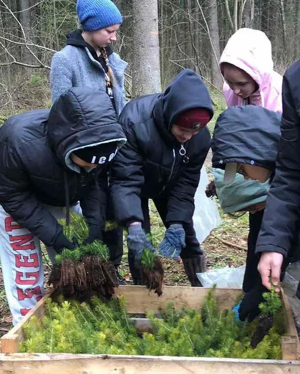 В Могилевском районе школьники подключились к республиканской акции «Неделя леса». Фото с сайта pniva.by