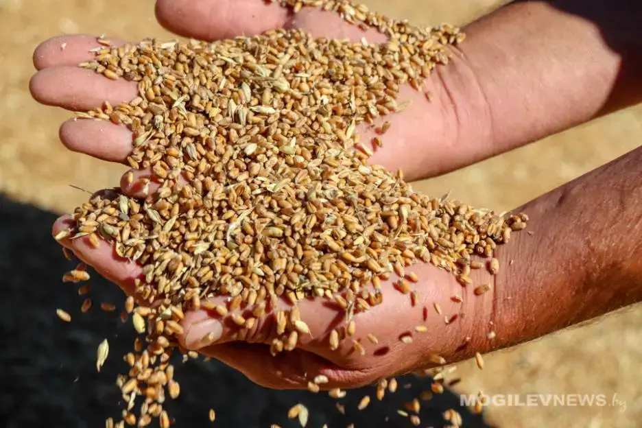 Фото: Mogilevnews.by