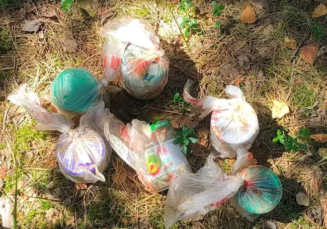 В Могилеве задержаны наркодилеры: изъято почти 700 г марихуаны