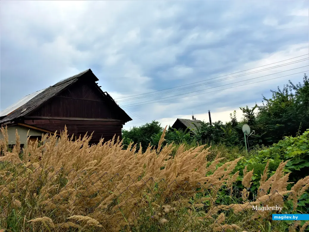 Могилев, Папенка, 17.08.2022 года