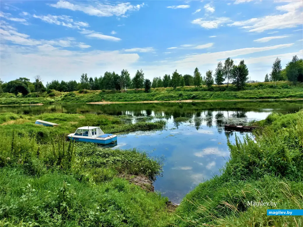 На берегу Днепра такая благодать! Могилев, Папенка, 17.08.2022 года