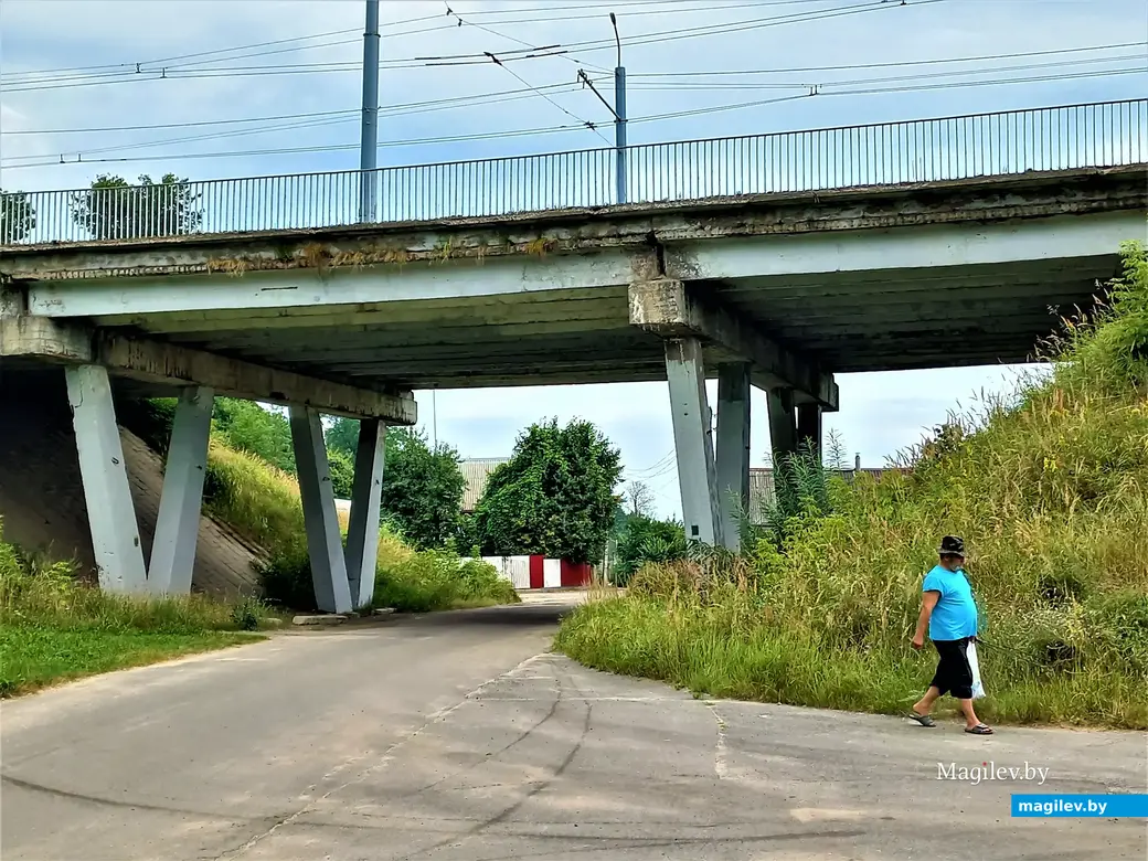 Могилев, Папенка, 17.078.2022 года