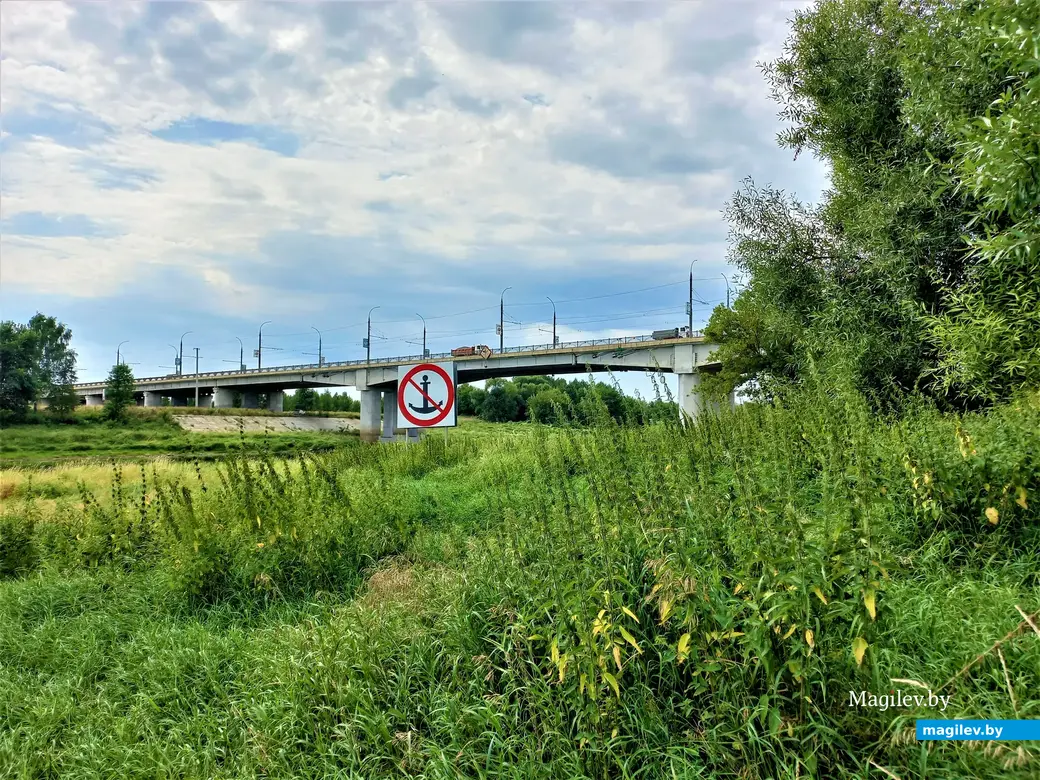 Мост Шмидта. Могилев, Папенка, 17.08. 2022 года
