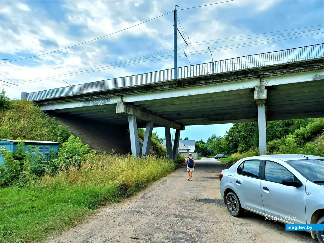 Могилев, Папенка, 17.08.2022 года