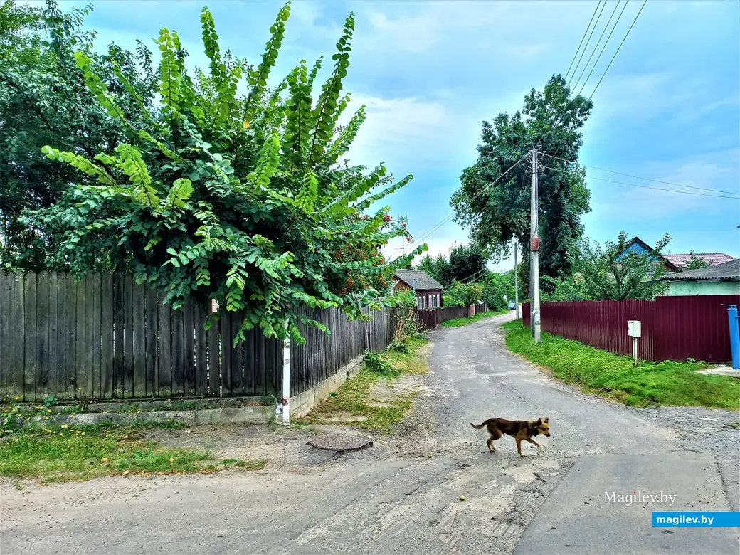 Переулок, в котором стоит дом Владимира Кутузова .Могилев, Папенка, 17.08.2022 года