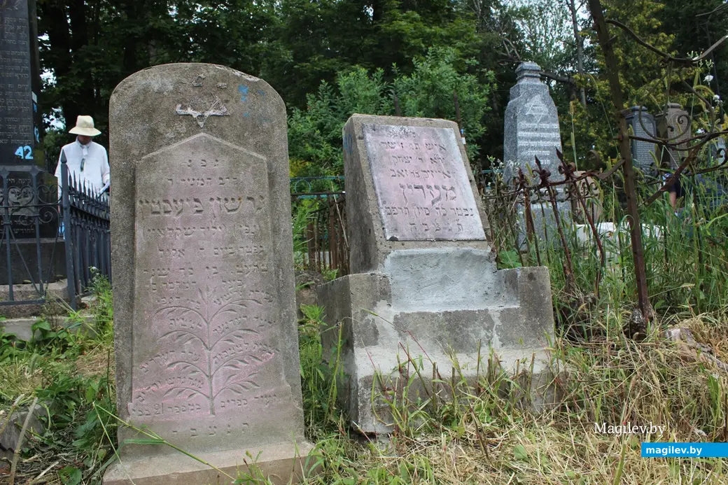 Еврейское кладбище Могилева. Август 2022 года.