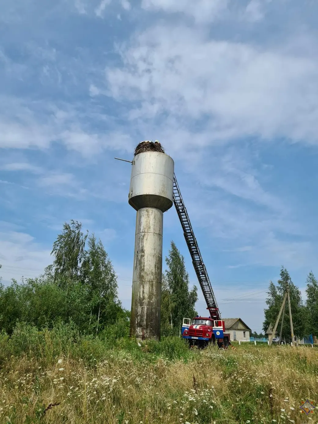 18.08.22г В Кировске спасли аиста, застрявшего на водонапорной башне. Фото: МЧС по Могилевской области