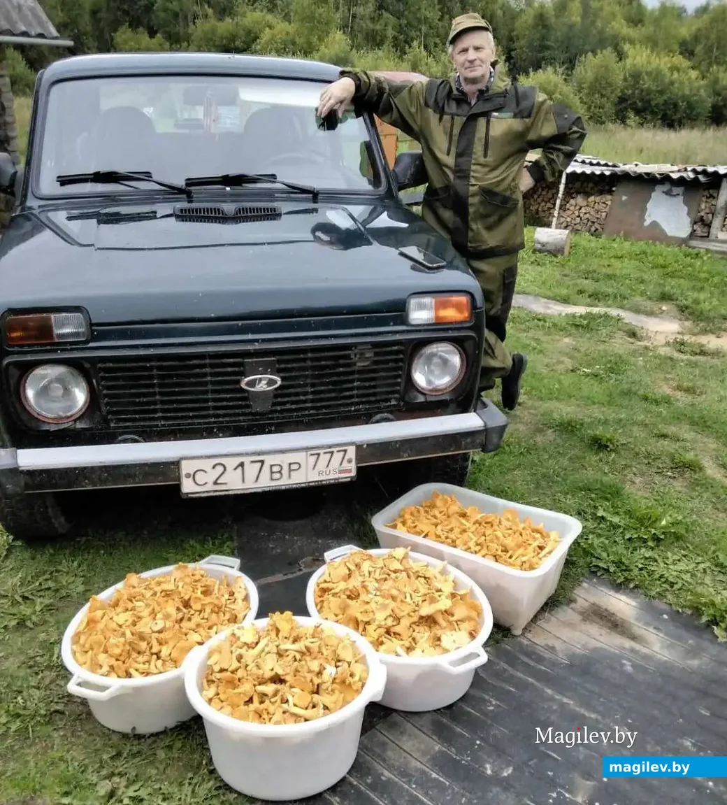 Фото Михаила Баранова и Натальи Логиновой из Городокского района Витебской области.