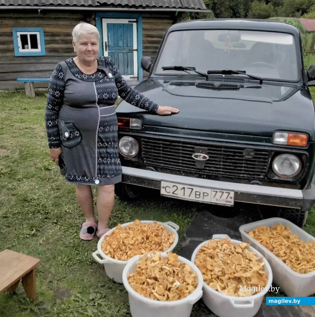 Фото Михаила Баранова и Натальи Логиновой из Городокского района Витебской области.