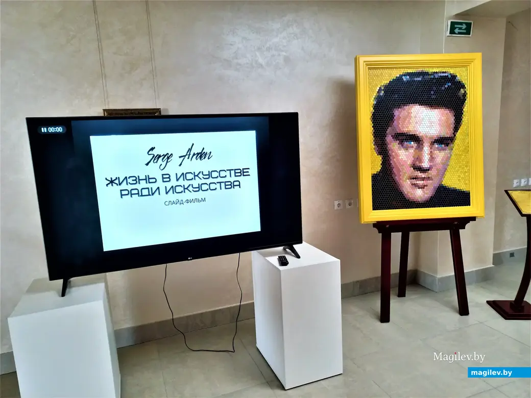 Могилев, выставочный зал ДК области. 19.08.2022 года.