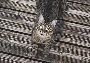 К апрелю 2023 года в каждой области откроют магазины продукции лесхозов