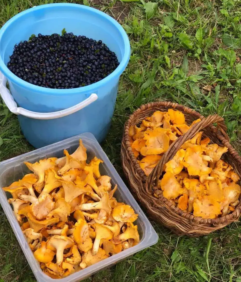 Фото Юлии Бородиной