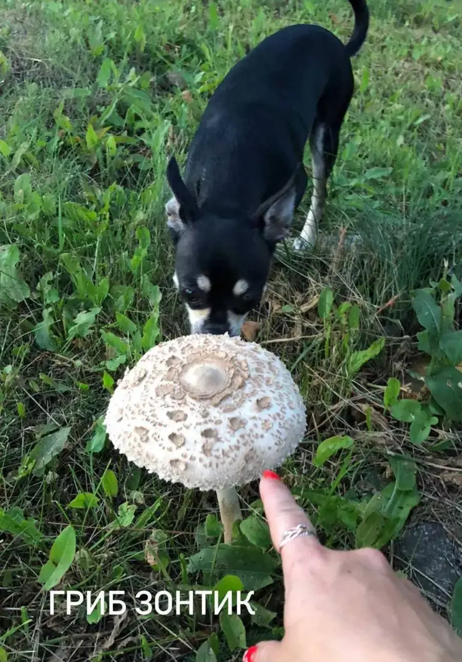 Фото Юлии Бородиной