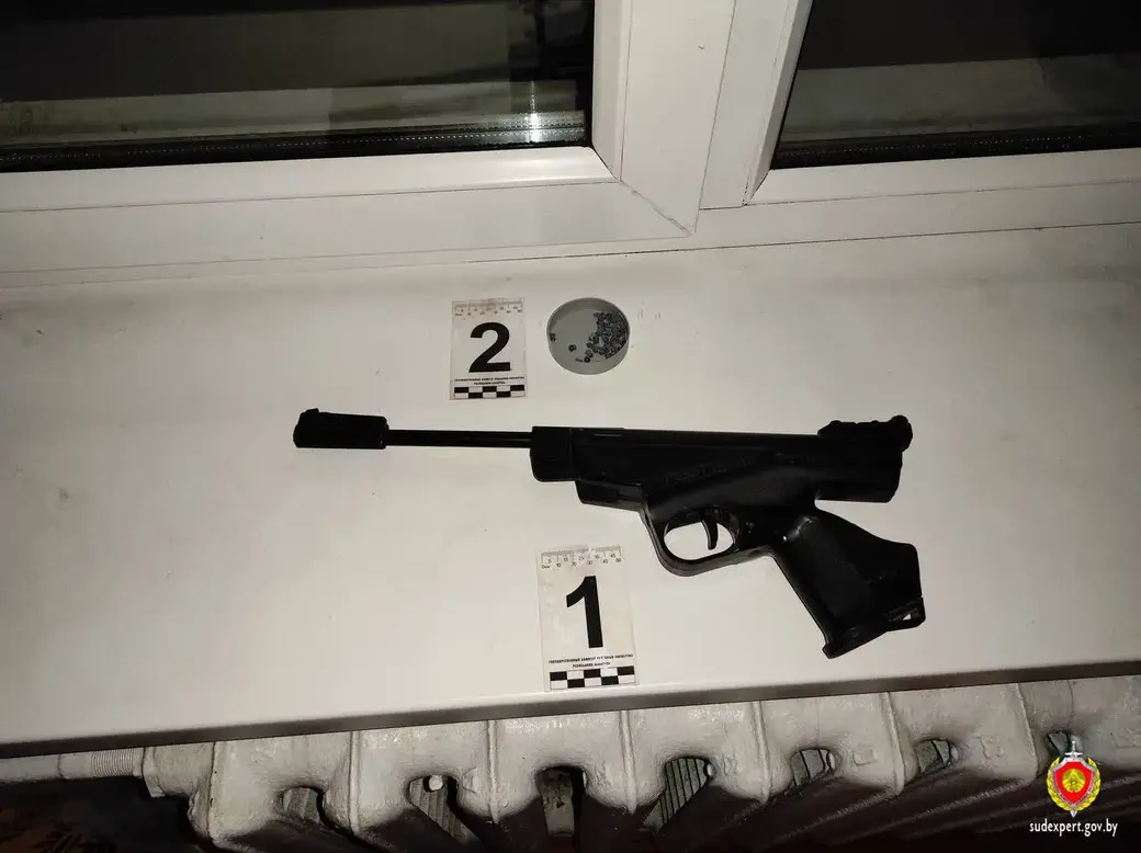 22 августа 2022г. В Барановичах пенсионер обстрелял детей из пневматики: они мешали выпивать своими играми на улице. Фото СК РБ