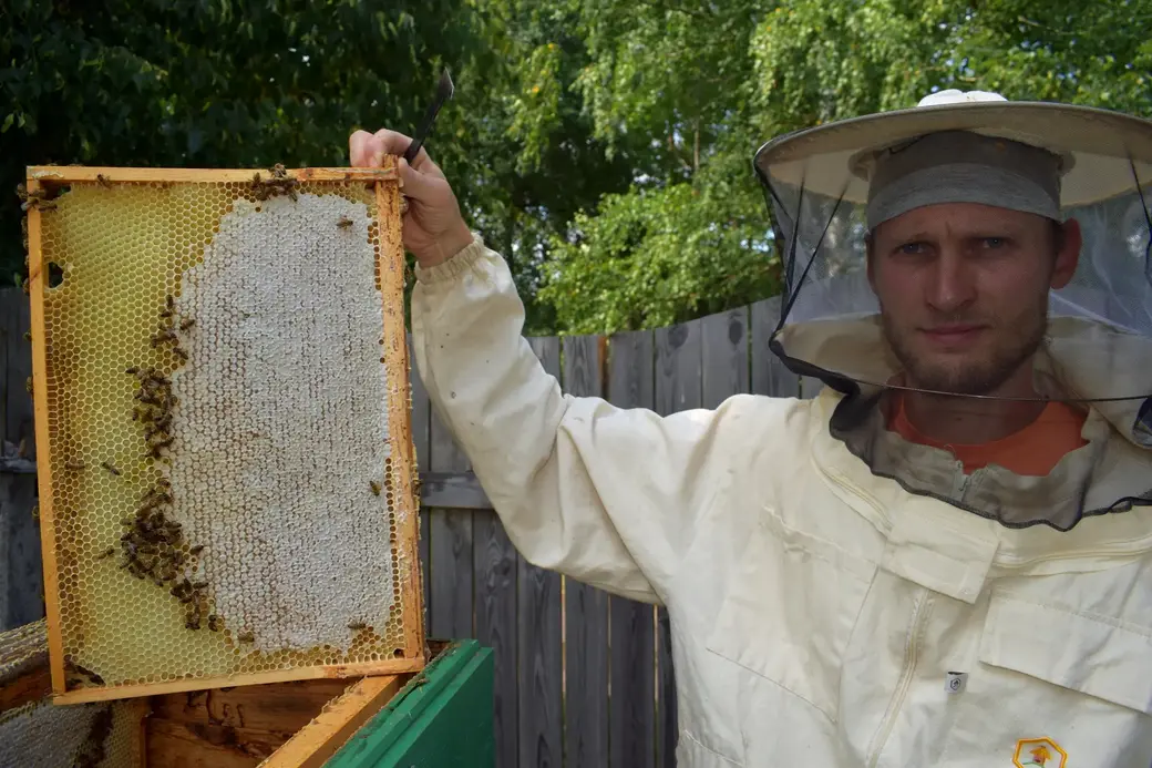 Андрей держит порядка 30 пчелиных семей породы Бакфаст.
