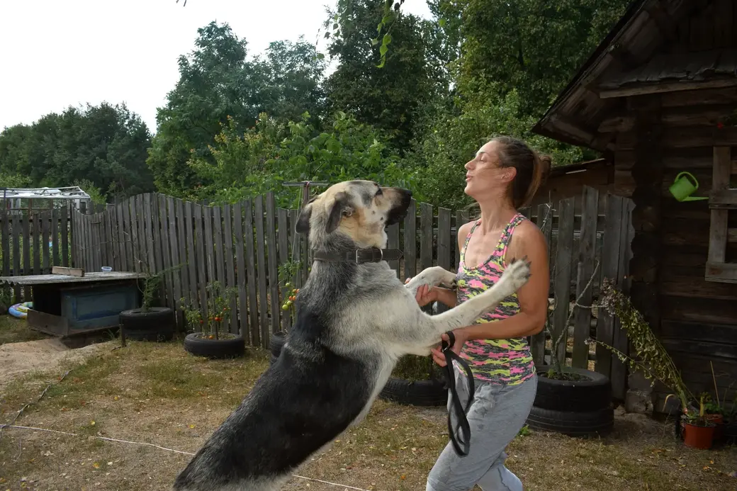 Деревня Островы Бобруйского района, август 2022 года. Семья Логвиненко. Рика и Марина.