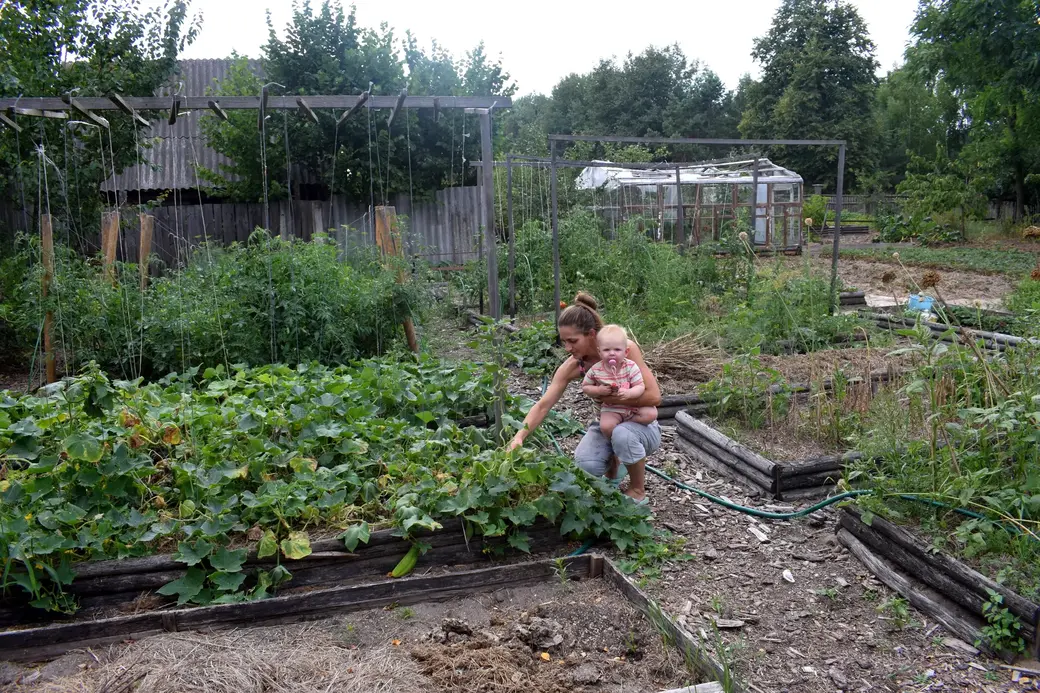 Деревня Островы Бобруйского района, август 2022 года.