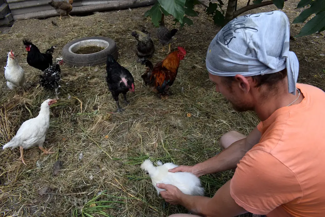 Деревня Островы Бобруйского района, август 2022 года.