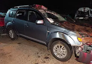 Выбежавший на дорогу лось стал причиной ДТП в Осиповичском районе