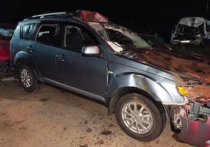 Выбежавший на дорогу лось стал причиной ДТП в Осиповичском районе