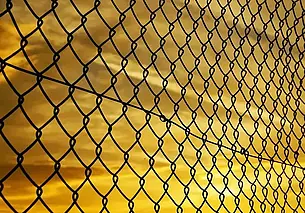 Литва завершила строительство забора на границе с Беларусью