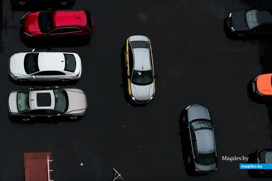 Фото Татьяны Крапивиной