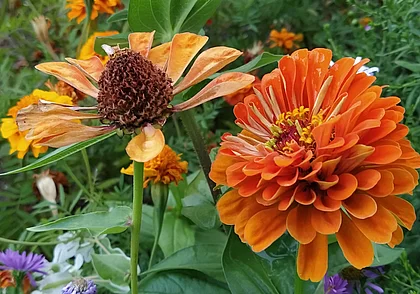 Жара: прогноз погоды в Могилеве на 13-15 июля