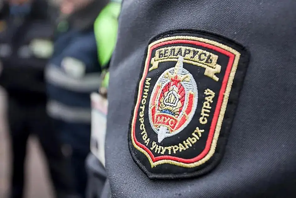 Выписку о правонарушении доставят на дом: новая услуга милиции доступна пока только для минчан.