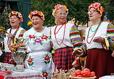 «Дожинки» Могилевского района, тонна сыра без документов и бустерная прививка: обзор СМИ Могилева и области за минувший день