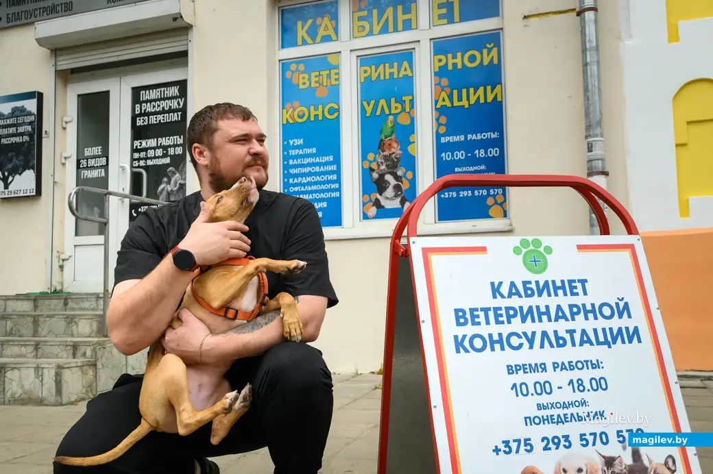 06.09.2022. Бобруйск. Кабинет ветеринарной консультации