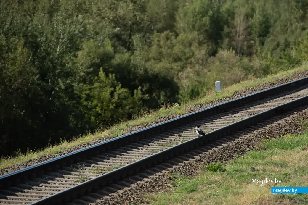 Сентябрь 2022 г. Могилев. Фотопрогулка