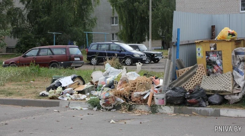 Площадка для сбора мусора. Могилевский район. Фото Александры Орловой.