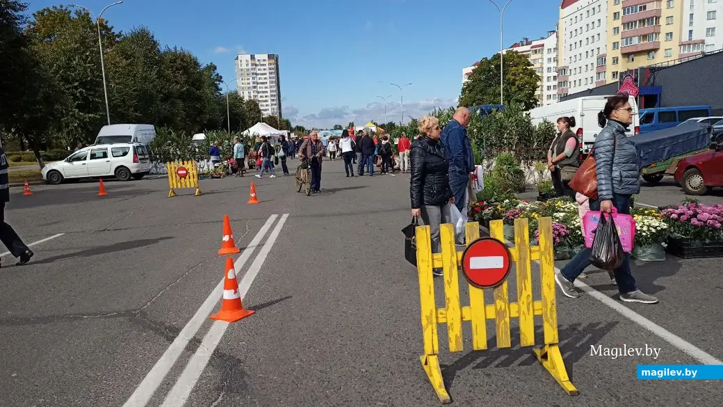 Сельскохозяйственная ярмарка в Бобруйске. 17.09.2022 г.