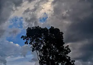 Не забудьте зонтики! В Беларусь идет циклон «Reili»