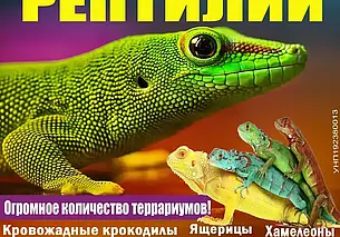 Выставка рептилий в Могилеве будет работать до октября