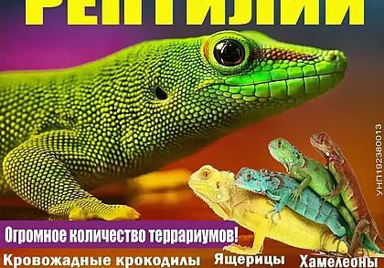 Выставка рептилий в Могилеве будет работать до октября