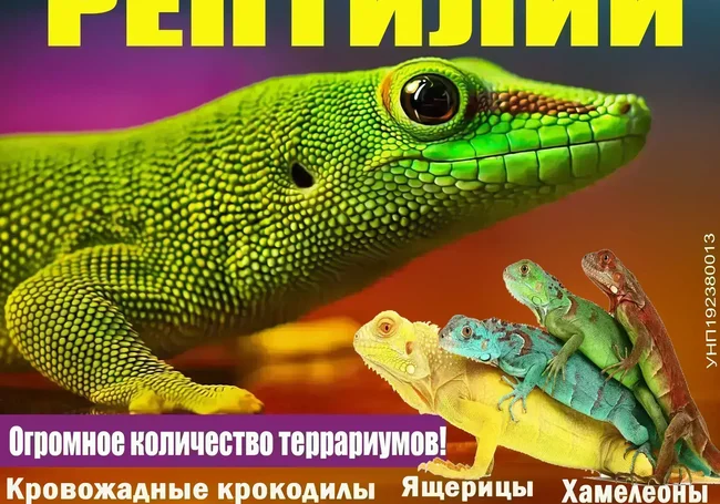 Выставка рептилий в Могилеве будет работать до октября