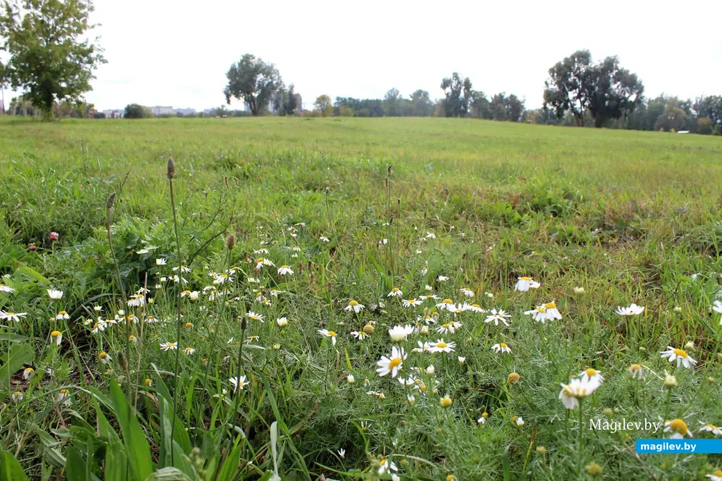 Парк культуры и отдыха в районе Подниколья. Могилев, сентябрь, 2022 год.