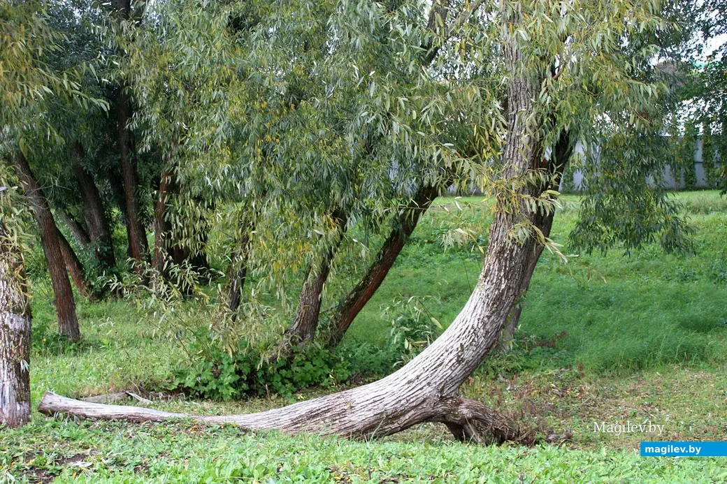 Парк культуры и отдыха в районе Подниколья. Могилев, сентябрь, 2022 год.