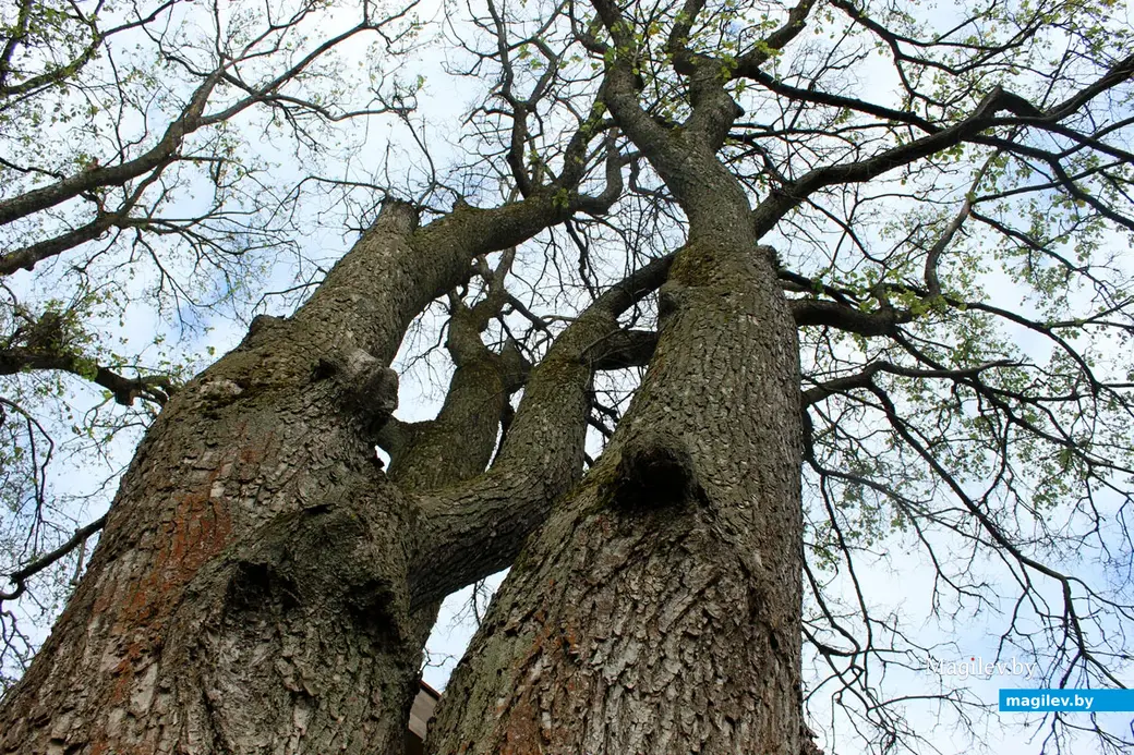 Парк культуры и отдыха в районе Подниколья. Могилев, сентябрь, 2022 год.