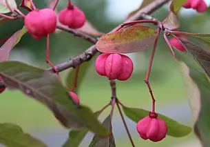 С дождями. Прогноз погоды на 24 и 25 сентября