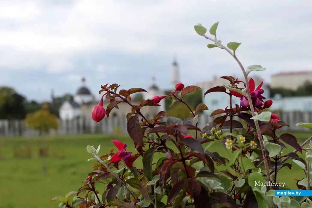 Парк культуры и отдыха в районе Подниколья. Могилев, сентябрь, 2022 год.