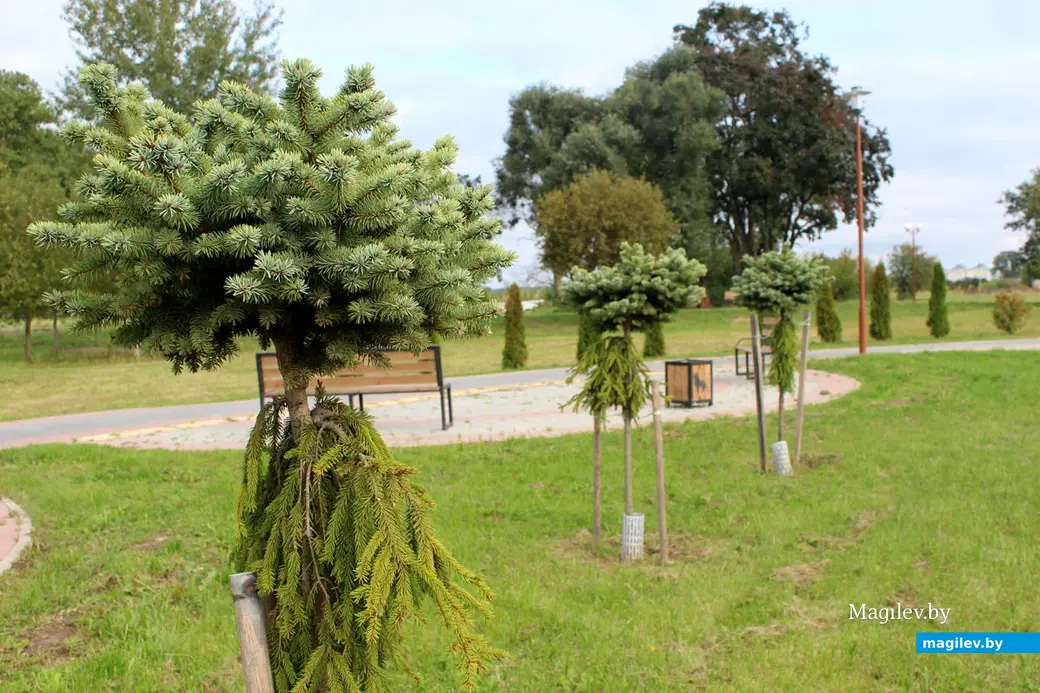 Парк культуры и отдыха в районе Подниколья. Могилев, сентябрь, 2022 год.