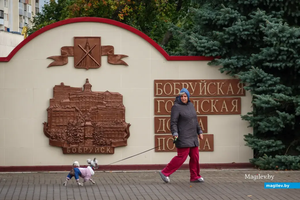 21.09.2022. Бобруйск. Начало осени. Золото пробивается в кронах