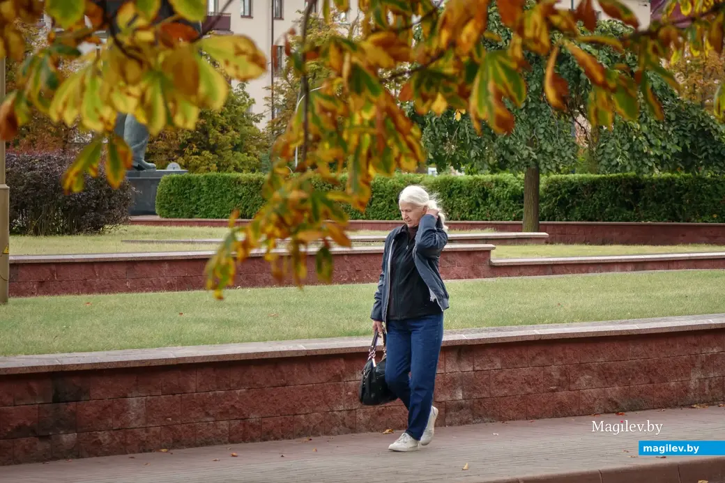 21.09.2022. Бобруйск. Начало осени. Золото пробивается в кронах