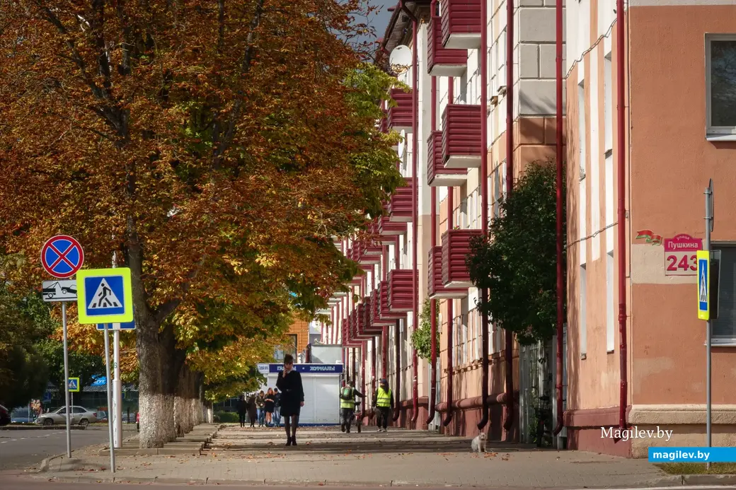21.09.2022. Бобруйск. Начало осени. Золото пробивается в кронах