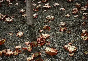 Погружение в глубокую осень. Прогноз погоды на неделю с 16 по 22 октября